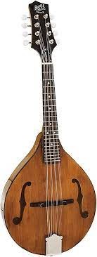 Barns & Mullins Wimborne Mandolin