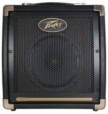 Pre-Owned Peavey Ecoustic E20
