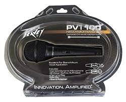 Peavey PVi 100