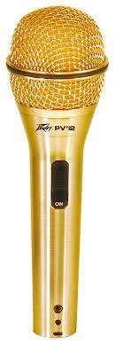 Peavey PVi 2G