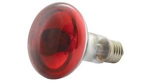 Qtx Light Reflector Lamp R80 E27 Red