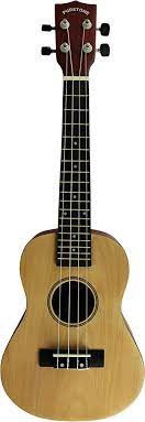 Puretone PTN100919