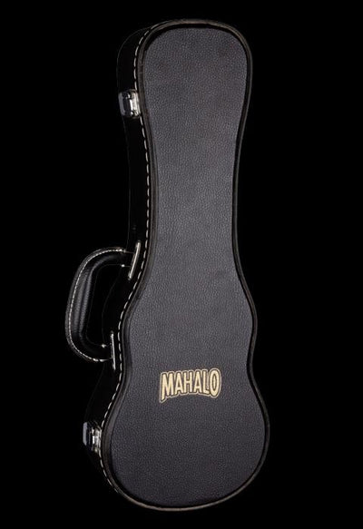 UC20t/320 concert Ukelele case