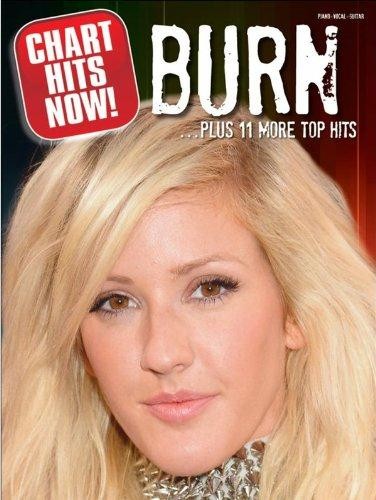 Chart Hits Now! Burn ...Plus 11 More Top Hits